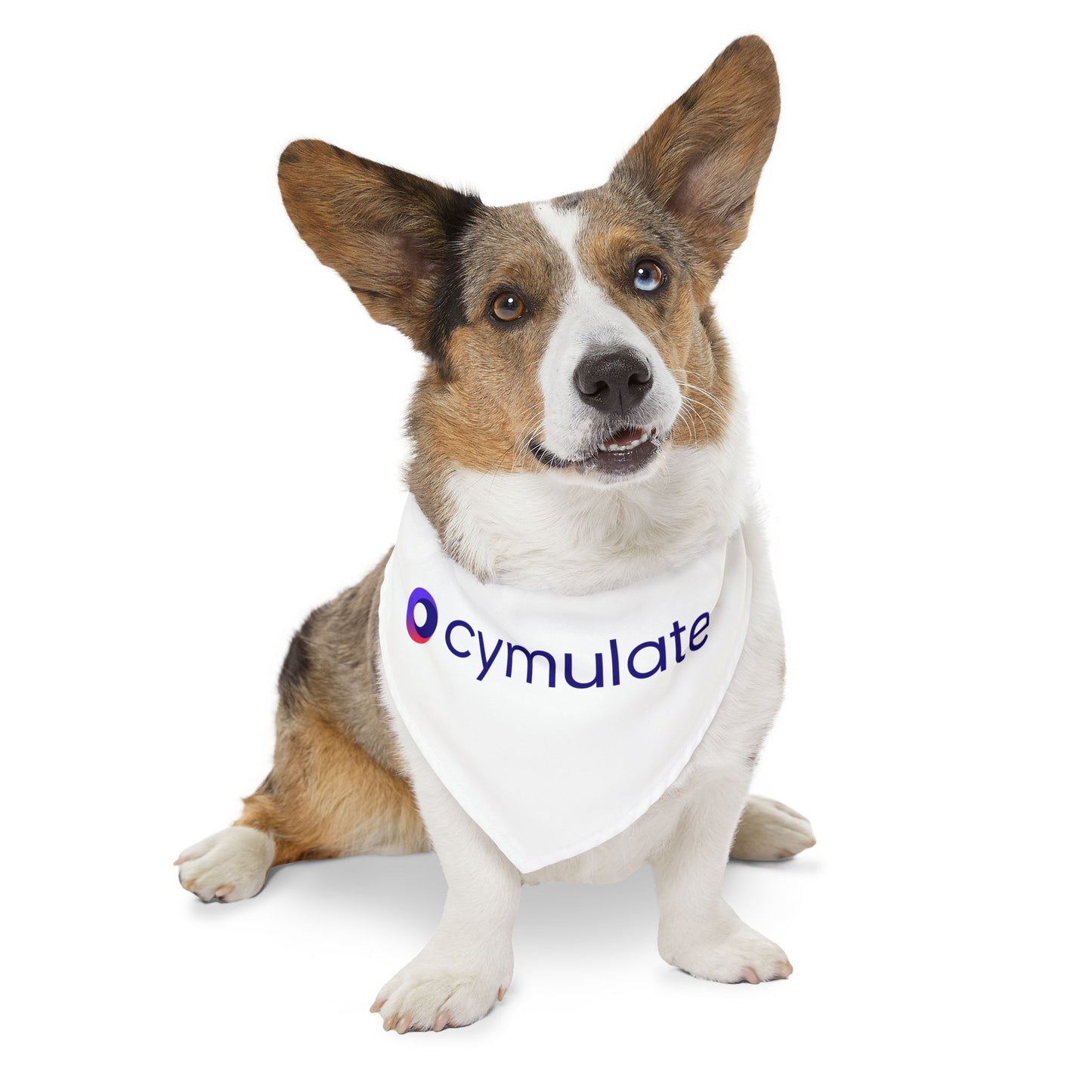 Pet Bandana Collar - US