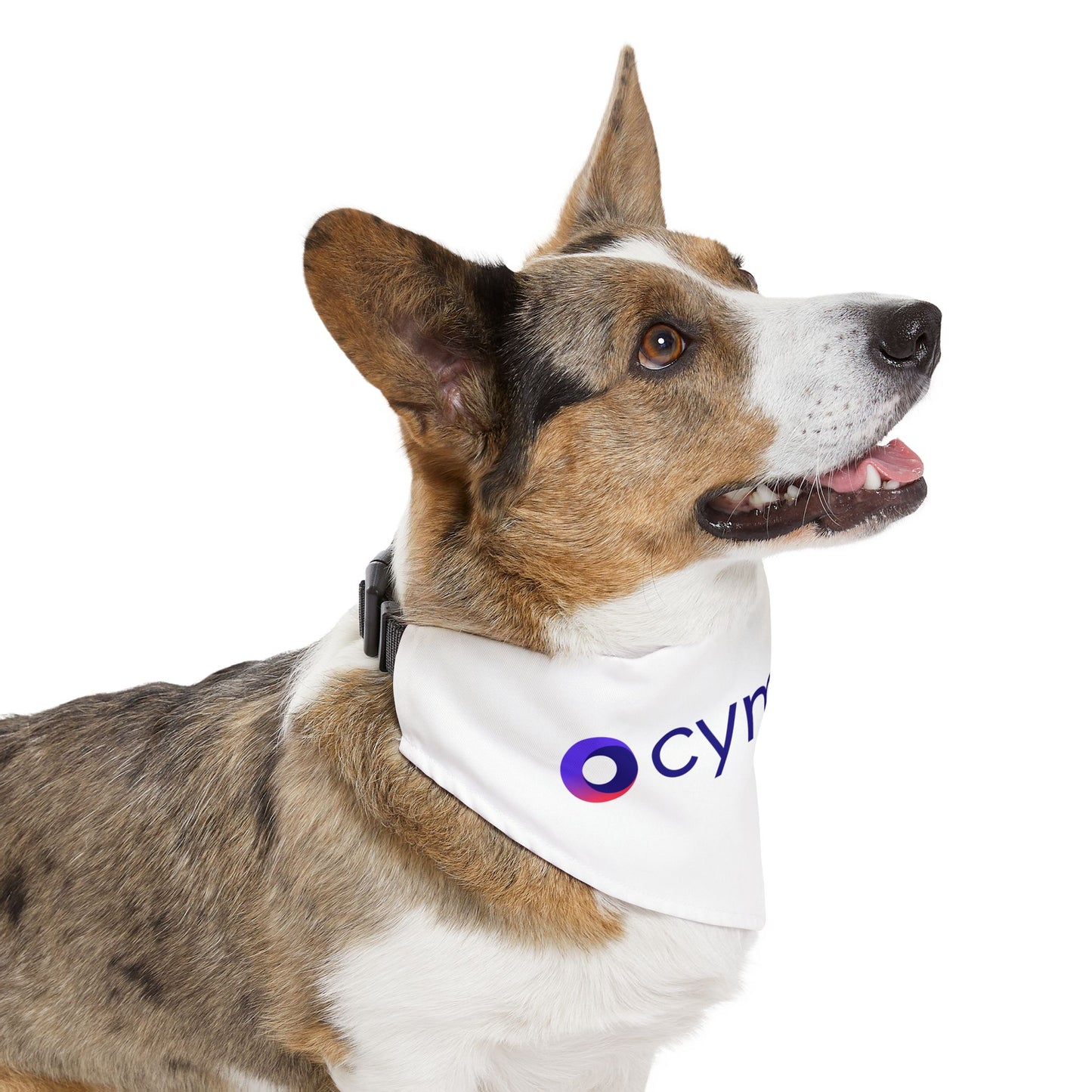 Pet Bandana Collar - US