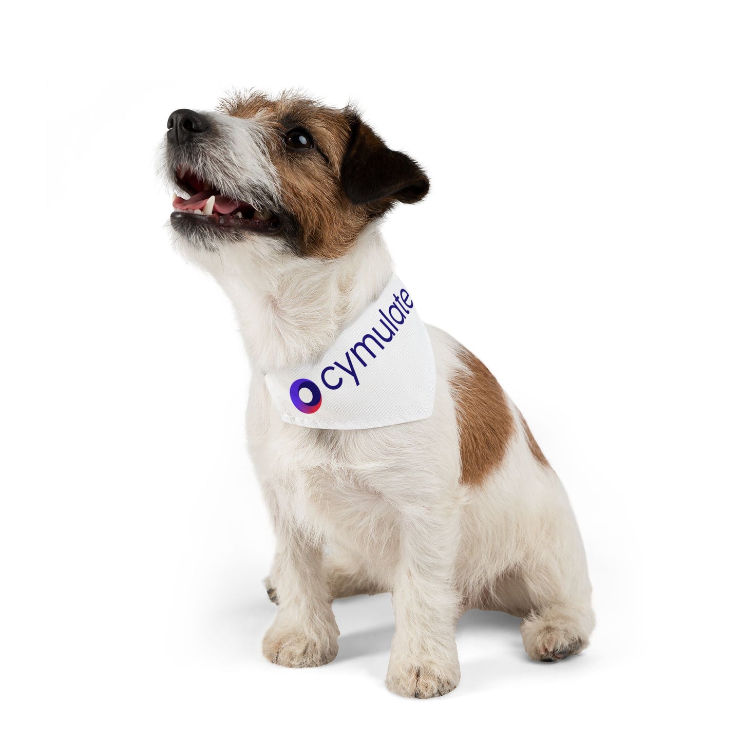 Pet Bandana Collar - Israel