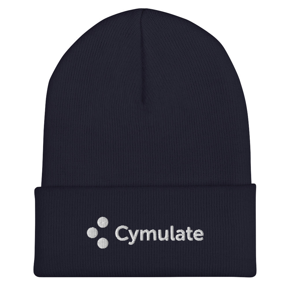 Winter Beanie - US