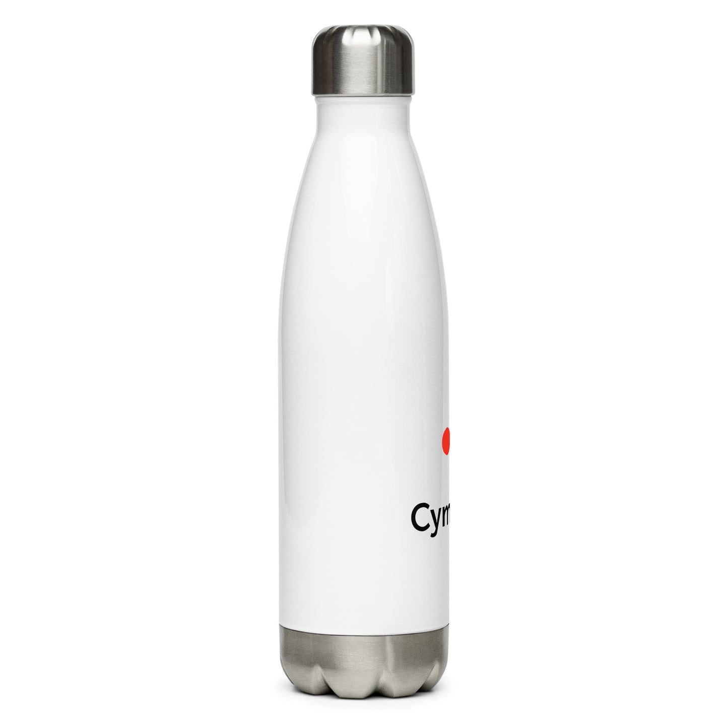 Stainless Steel Water Bottle (US)