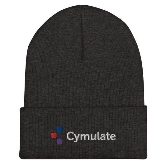 Winter Beanie - US